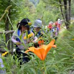 Con gli occhi dei bambini | Foto Orto Botanico Pellegrini - Ansaldi